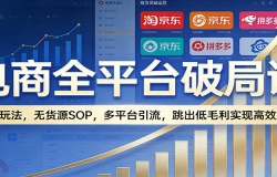 电商全平台破局课:全域玩法,无货源SOP,多平台引流,跳出低毛利实现高效
