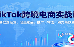 TikTok跨境电商实战课:从基础到运营,涵盖选品、推广、物流,助力高效变现