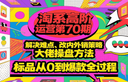 淘系高阶运营第70期,解决难点、改内外销策略,大佬操盘方法,标品从0到爆