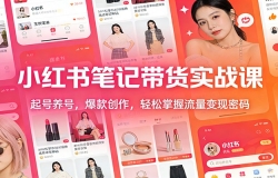 小红书笔记带货实战课:起号养号,爆款创作,轻松掌握流量变现密码