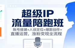 超级IP流量陪跑班:账号搭建+人设定位+爆款创作+直播运营,涨粉变现全流程