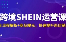 跨境SHEIN运营课,全流程解析+商品曝光,快速提升新店销量