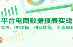 多平台电商数据报表实战课:PQ清洗、PP建模、 利润核算,全流程教学