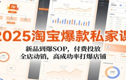 2025淘宝爆款私家课:新品到爆SOP,付费投放,全店动销,高成功率打爆店铺