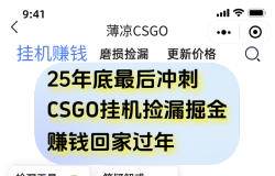 用CSGO游戏挂机捡漏掘金赚钱掘金,一部手机轻松日入500+