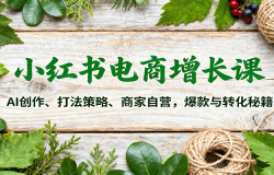 小红书电商增长课:AI创作、打法策略、商家自营,爆款与转化秘籍