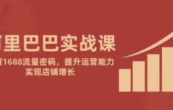 阿里巴巴实战课:掌握1688流量密码,提升运营能力,实现店铺增长