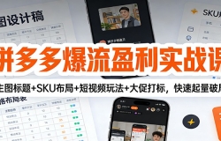 拼多多爆流盈利实战课:主图标题+SKU布局+短视频玩法+大促打标,快速起量破