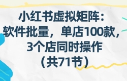 小红书虚拟矩阵:软件批量发笔记,单店100款,3个店同时操作(共71节)