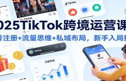 2025TikTok跨境运营课:账号注册+流量思维+私域布局,新手入局指南