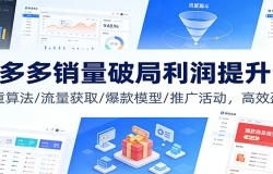 拼多多销量破局利润提升课:权重算法/流量获取/爆款模型/推广活动,高效盈