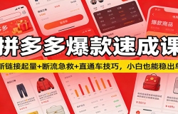拼多多爆款速成课:新链接起量+断流急救+直通车技巧,小白也能稳出单