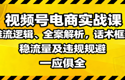 视频号电商实战课:推流逻辑、全案解析,话术框架,稳流量及违规规避等