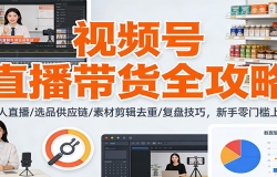 视频号直播带货全攻略:无人直播/选品供应链/素材剪辑去重/复盘技巧,零门