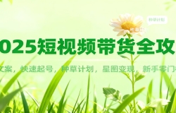 2025短视频带货全攻略:爆款文案,快速起号,种草计划,星图变现,新手零门