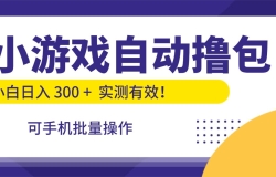 小游戏自动撸包,手机批量操作,小白日入300 +