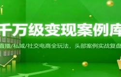 千万级变现案例库:直播/私域/社交电商全玩法,200+头部案例实战复盘
