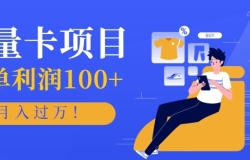 正规手机流量卡项目,一单利润100+,月入过万!人人可做(推广技术+正规渠