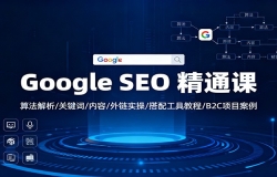 Google SEO 精通课:算法解析/关键词/内容/外链实操/搭配工具教程/B2C项目