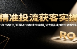 精准投流获客实操,小红书聚光/巨量AD/本地推实操/计划搭建/出价转化技巧
