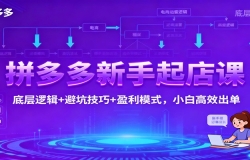 拼多多新手起店课:底层逻辑+避坑技巧+盈利模式,小白高效出单