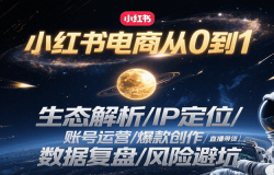 小红书电商从0到1:生态解析/IP定位/ 账号运营/爆款创作/直播带货/数据复盘