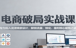 电商破局实战课:专为陷入泥潭商家设计,解锁流量、转化、盈利核心破局之道