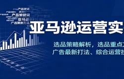 亚马逊运营实操,选品策略解析,选品重点方法、广告最新打法、综合运营技巧