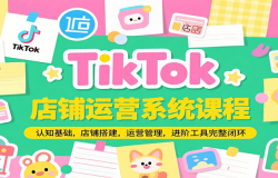 TikTok店铺运营系统课程,认知基础,店铺搭建,运营管理,进阶工具落地完整
