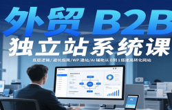 外贸B2B独立站系统课:底层逻辑/避坑指南/WP建站/AI辅助从0到1搭建高转化网