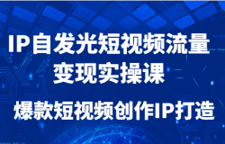 IP自发光短视频流量变现实操课,爆款短视频创作IP打造